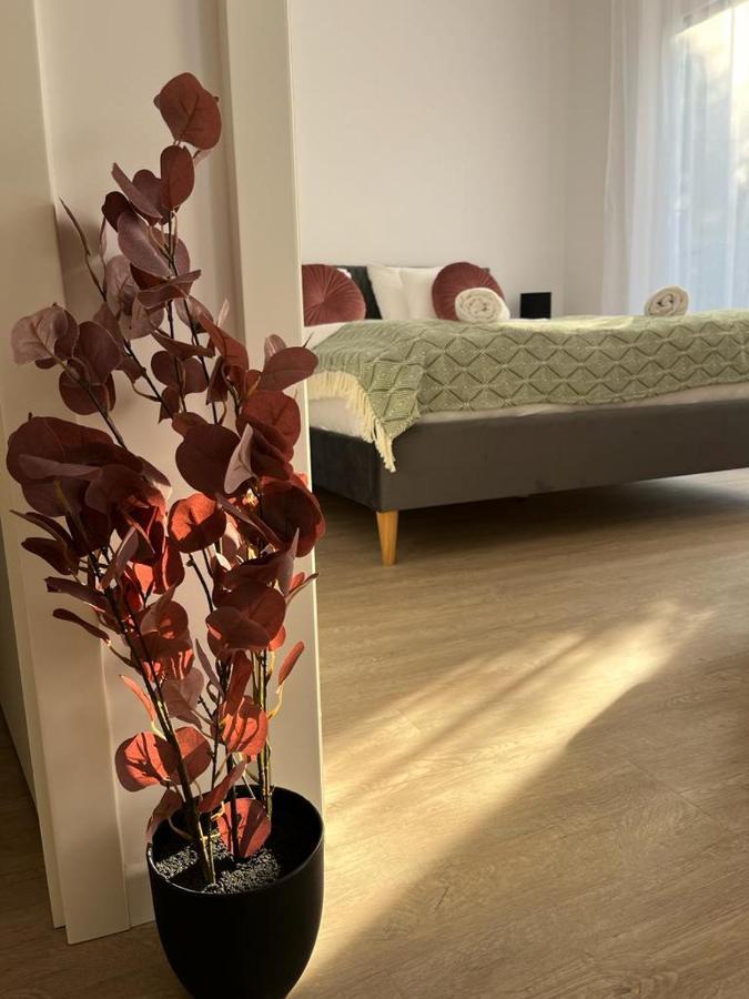 Mathias Premium Apartments Szeged Exterior foto